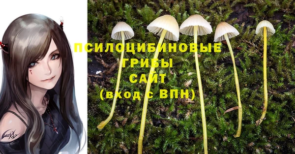 MDMA Богданович