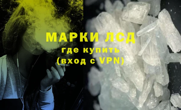 трава Бородино