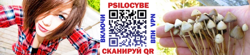 Псилоцибиновые грибы мицелий Гулькевичи