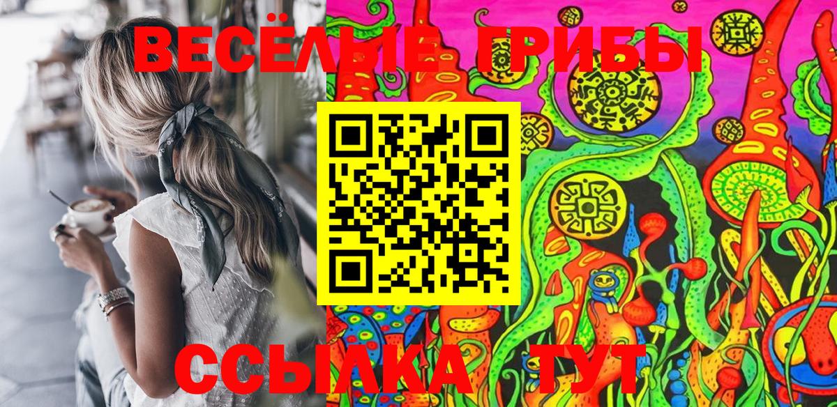 Псилоцибиновые грибы мухоморы Гулькевичи